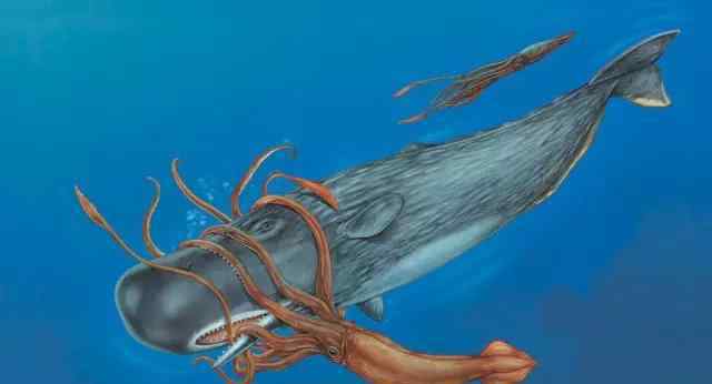 世界海洋里最恐怖的动物都有什么 十大恐怖海洋生物图片