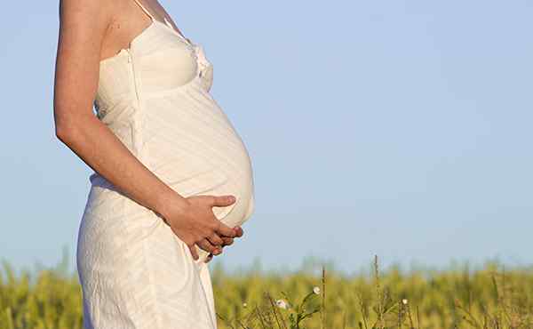怀孕5个月胎儿有多大 怀孕五个月宝宝有多大？
