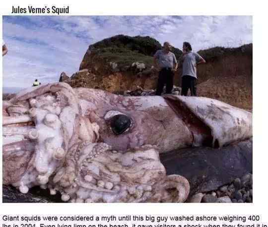 传说中的海洋巨怪有哪些：圣奥古斯汀怪物 蒙托克怪物