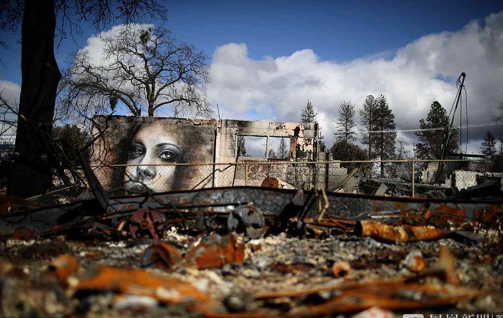 加州山火重灾区现精美壁画