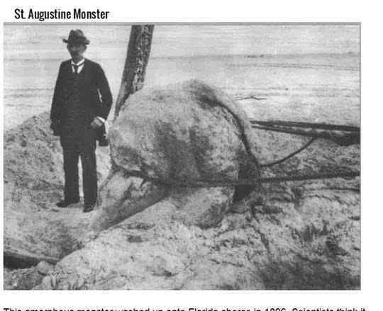 传说中的海洋巨怪有哪些：圣奥古斯汀怪物 蒙托克怪物