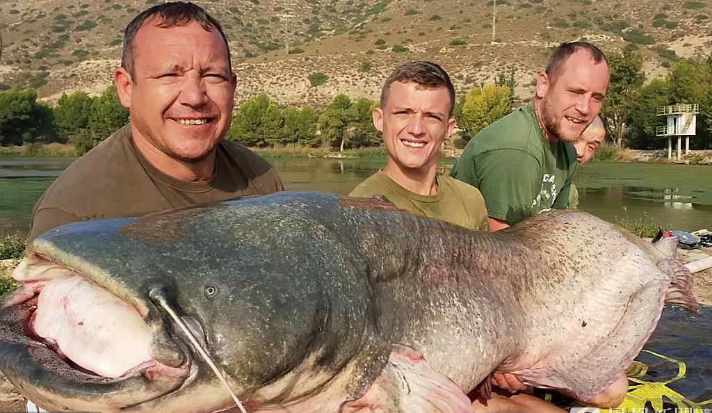 渔民捕110公斤超重鲶鱼 体长超2米