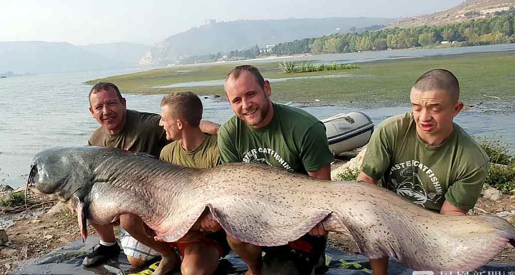 渔民捕110公斤超重鲶鱼 体长超2米