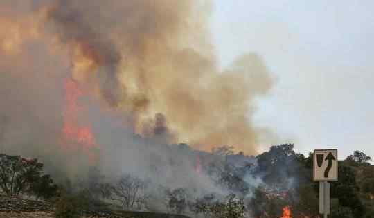 加州野火肆虐:LadyGaga布兰妮等名人豪宅被毁