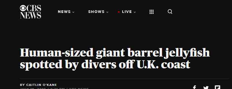 潜水员发现巨型桶水母 和人一样大