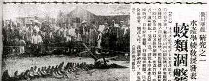 1934年营口村民暴雨过后发现龙尸事件 营口坠龙图片是真的吗