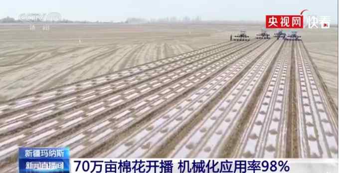 新疆一县70万亩棉花开播 机械化应用率98% 网友调侃：海外直播一下