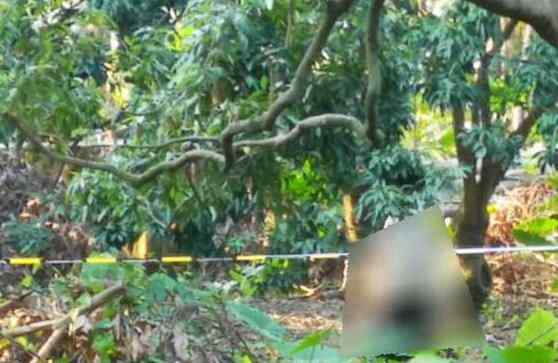 女子公园上吊身亡 悲剧原因实在让人痛心