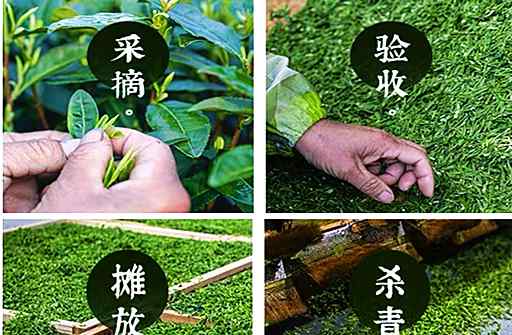 茶叶品牌推广 卢新龙井茶+丰子恺：传统茶叶品牌化 玩转跨界营销