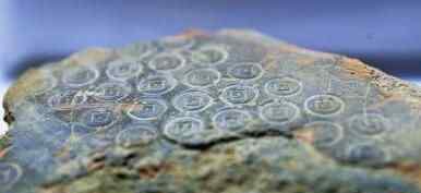 新莽时期铸币遗址 到底是在哪里？