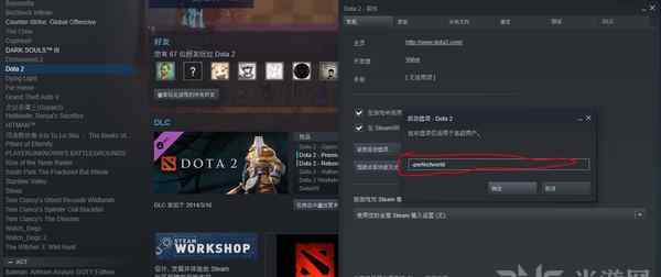 dota2国服启动项 刀塔自走棋国服服务器进入方法 dota2国服启动项命令