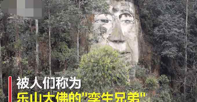四川乐山一处偏僻山村里，树林中竟隐藏着一尊乐山大佛“孪生兄弟”，当地政府的回应让人意外。