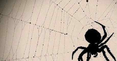 打蜘蛛被误认家暴 误会邻居说的话惹的祸真是祸从口出