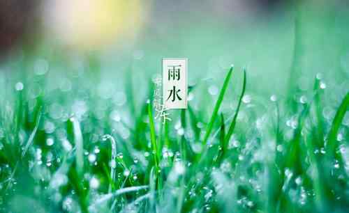 谷雨的来历和风俗 谷雨的含义和谚语