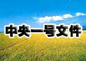 中央一号文件解读 【政策解读】韩长赋解读2020年中央一号文件