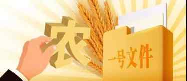 中央一号文件解读 【政策解读】韩长赋解读2020年中央一号文件