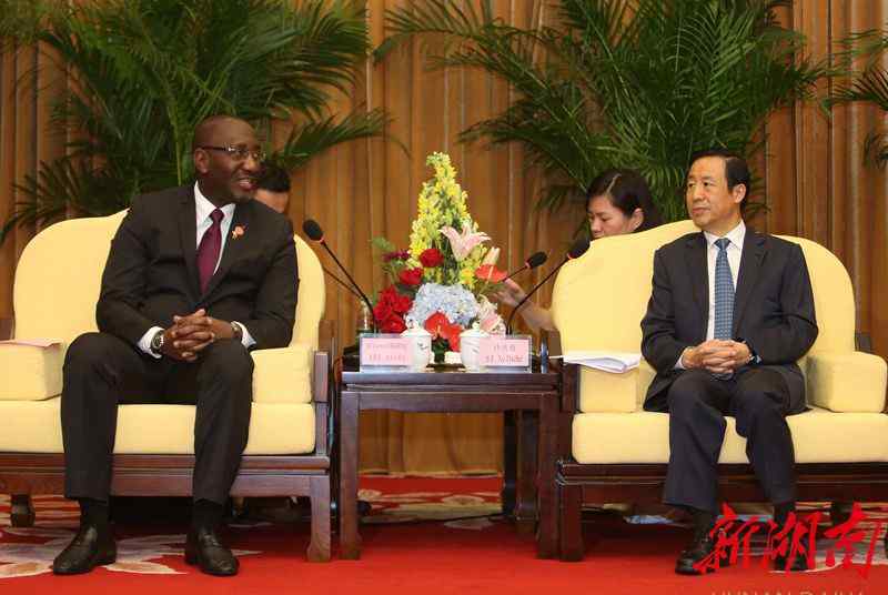 象牙海岸行动 许达哲会见科特迪瓦和尼日利亚客人