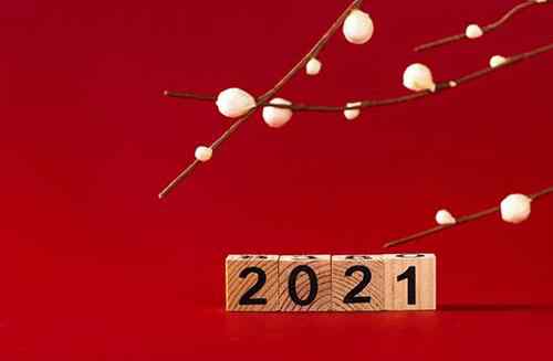 2021年是什么年 2021年是什么命 2021年是辛丑年吗