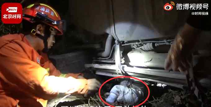 重庆一车坠落20米悬崖 婴儿并无明显外伤 且生命体征良好 到底是什么状况？
