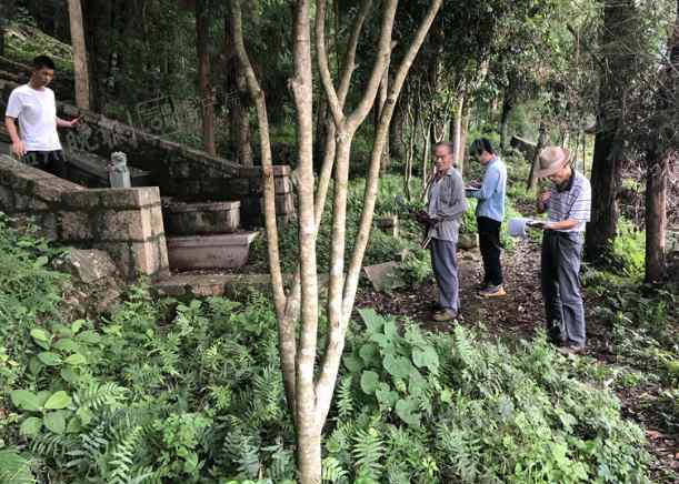 李咏的坟墓图片 致敬！温州七旬老农将坟山打造成生态公园