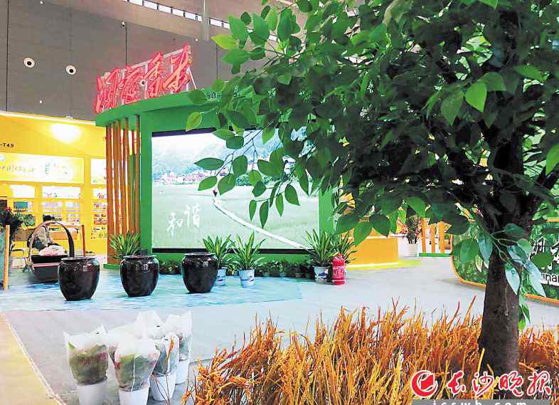 长沙农博会 第二十二届中国中部（湖南）农业博览会31日开幕