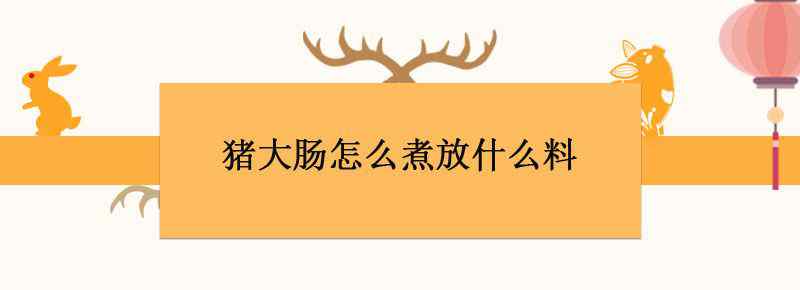 猪大肠怎么煮放什么料