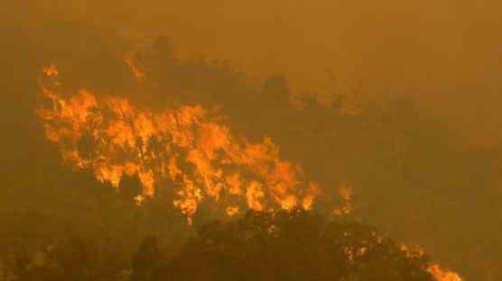 澳大利亚珀斯再遭山火侵袭，过火面积已超过7000公顷