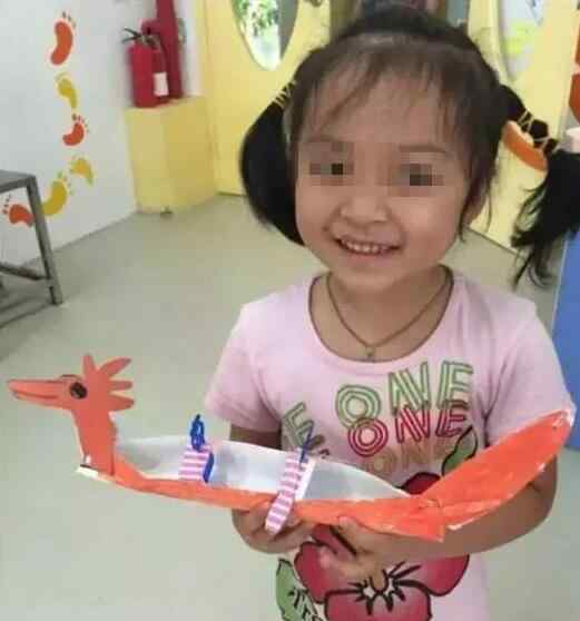 罗一笑事件 白血病女童罗一笑事件发酵前后：真相到底是什么
