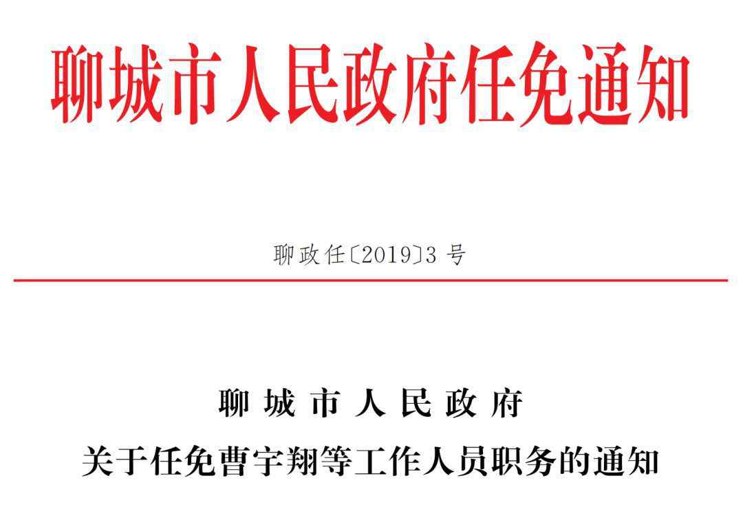 聊城市人民政府 聊城市人民政府任免通知！！！