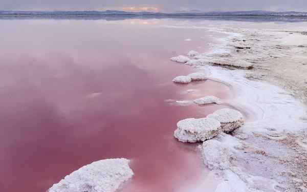塞内加尔的玫瑰湖 少女心爆棚！ 世上竟有这么多粉色湖泊