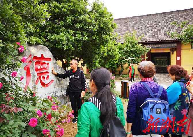 毒死260只鸟类 瞧，十三村那260个鸟儿安乐窝