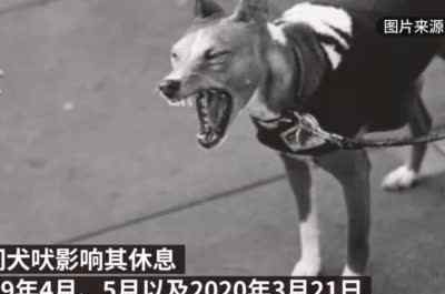 七旬老人毒杀22条宠物狗获刑3年 事情经过真相揭秘！