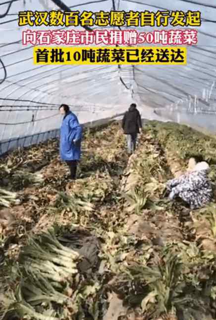 武汉向石家庄捐赠50吨蔬菜 到底什么情况呢？