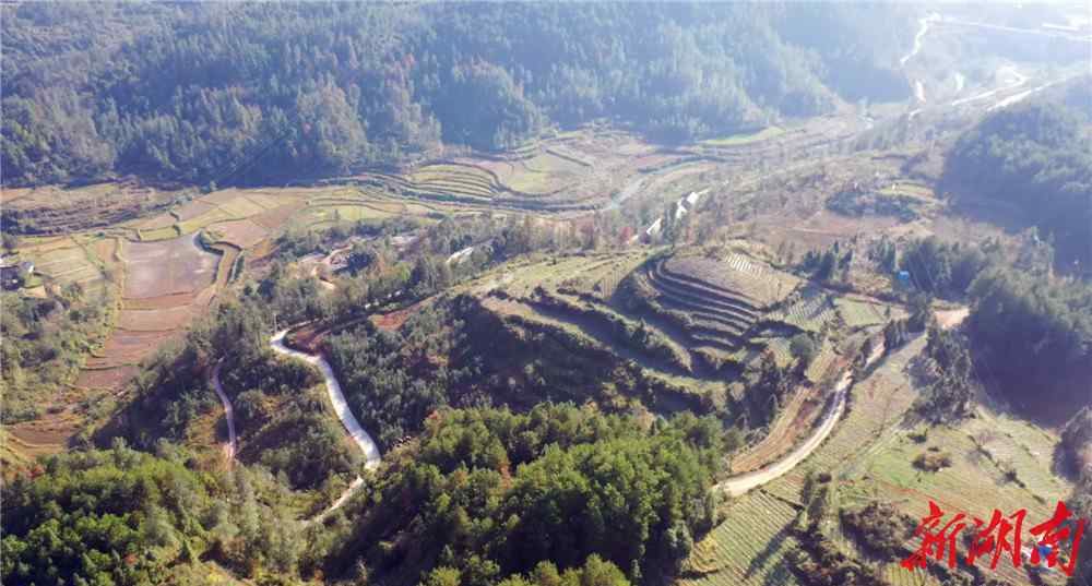 湖南省花垣县 花垣这个5000亩茶园将变成生态休闲观光体验园！