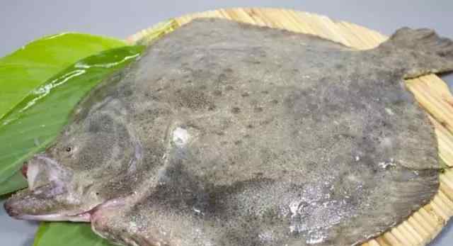 多宝鱼的做法 多宝鱼最美味的烹饪方式,做法和配方全在这，3分钟就能学会