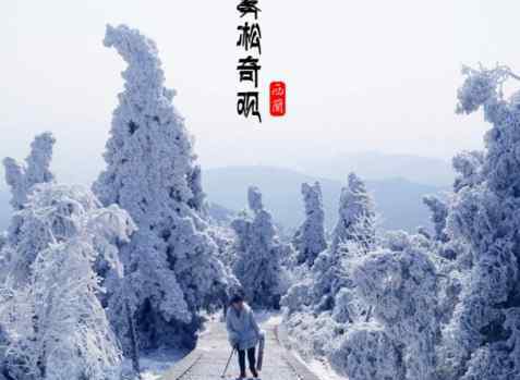 冬天去哪旅游好 国内冬天旅游去哪玩 中国冬季十大旅游好去处