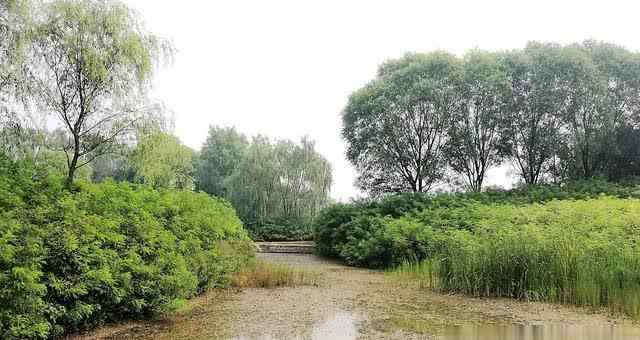 琉璃庙湿地公园 北京最值得去的10个湿地公园，环境舒适景色美