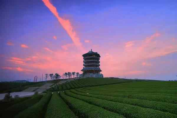 上海金桥国际茶城 去“中国茶海”湄潭休闲吗？那里也有湄江和桃花江