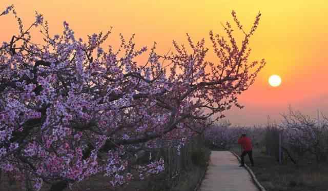 美好景致 河北秦皇岛6处静美古村落，这些美好景致去过几个？