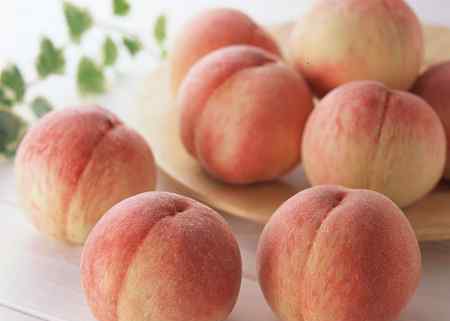 桃子是什么季节的水果 八月应季水果 杨桃、晚桃、无花果，哪个是你的最爱？
