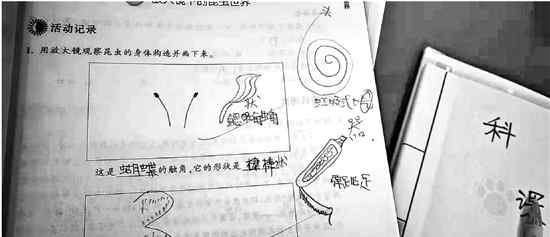 改错别字 批作业时爱改错别字的科学老师  遭学生“怼”了