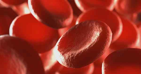 血蛋白高是什么引起的 血红蛋白偏高的原因是什么？会引起那种疾病危害