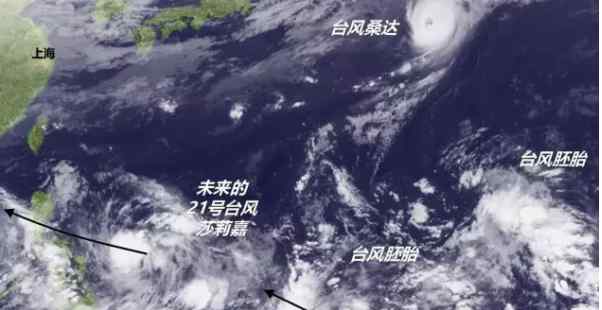 台风莎莉嘉 21号台风路径实时发布系统：台风“莎莉嘉”最新消息
