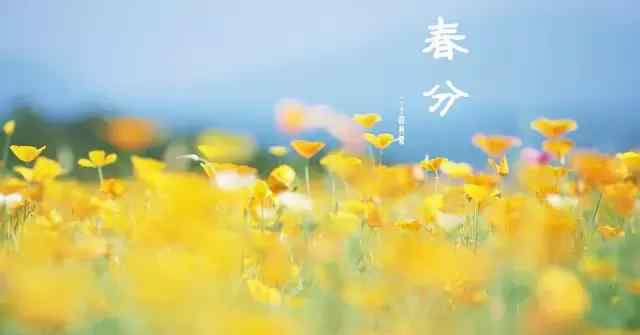 十二生肖今天运势如何 2018春分日子怎么样 春分12生肖运势如何