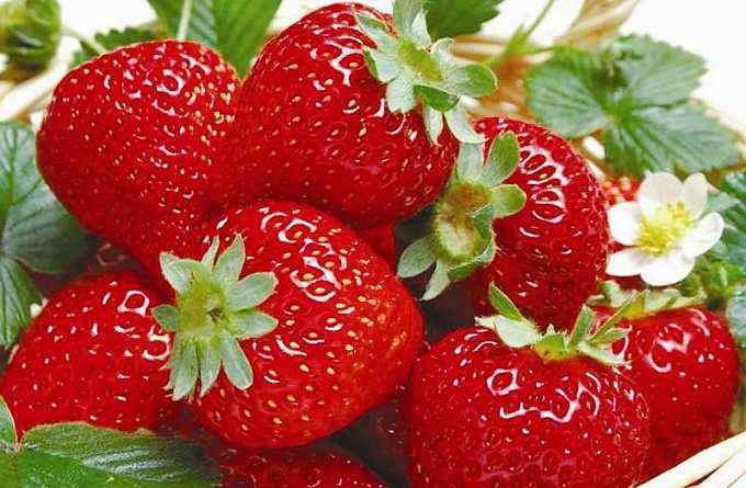 草莓怎么清洗 草莓没洗能吃吗？草莓怎么洗才干净