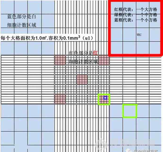 血细胞计数板计算方法 一图看懂“血细胞计数板”的用法和计数原理