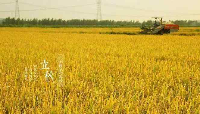 2017年立秋 2017年立秋是几月几日 立秋有什么风俗 立秋有什么讲究