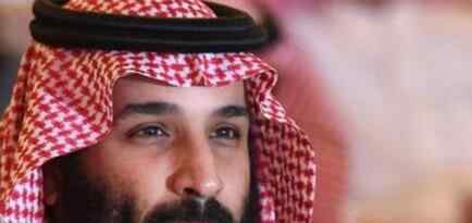 沙特首富王子被抓 究竟是怎么回事？