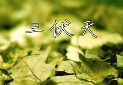 2016年哪天入伏 2016年头伏是哪一天？