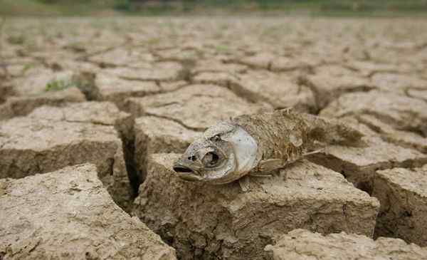 历史上的旱灾 【历史天气事件】2011年长江中下游遭遇罕见大旱
